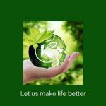 Timo Theus Profile Picture