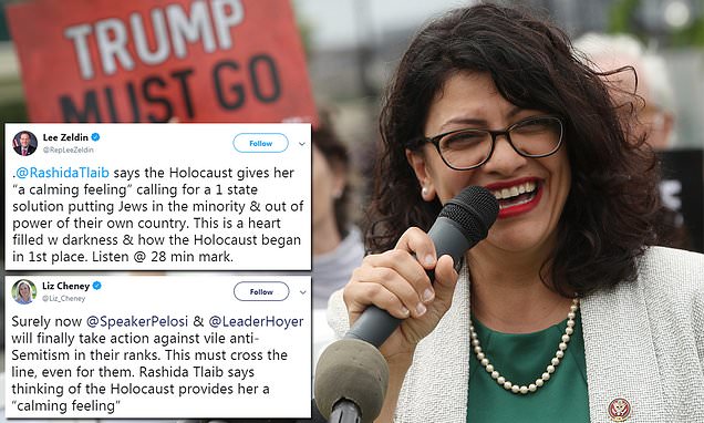 Republicans slam Rashida Tlaib after she said Palestinians gave 'safe haven to Jews' after Holocaust | Daily Mail Online