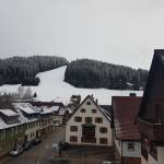 Margott Profile Picture