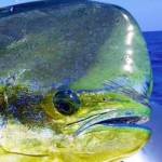 Michael Profile Picture