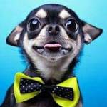 Oran Sowell Profile Picture