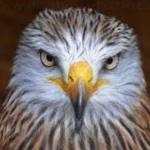 Charly Brook Profile Picture