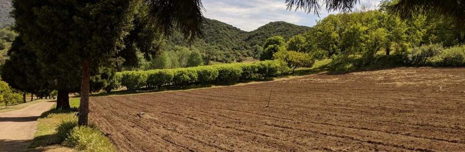 James Riley Cover Image