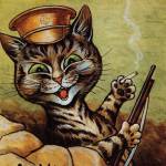 Django Katz Profile Picture