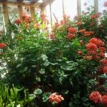 madelynwalker Profile Picture