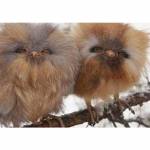 ClaudiP Profile Picture