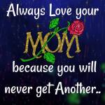 SilviaMurphy Profile Picture