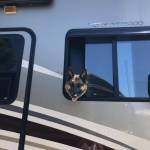 Wendy Watson Profile Picture