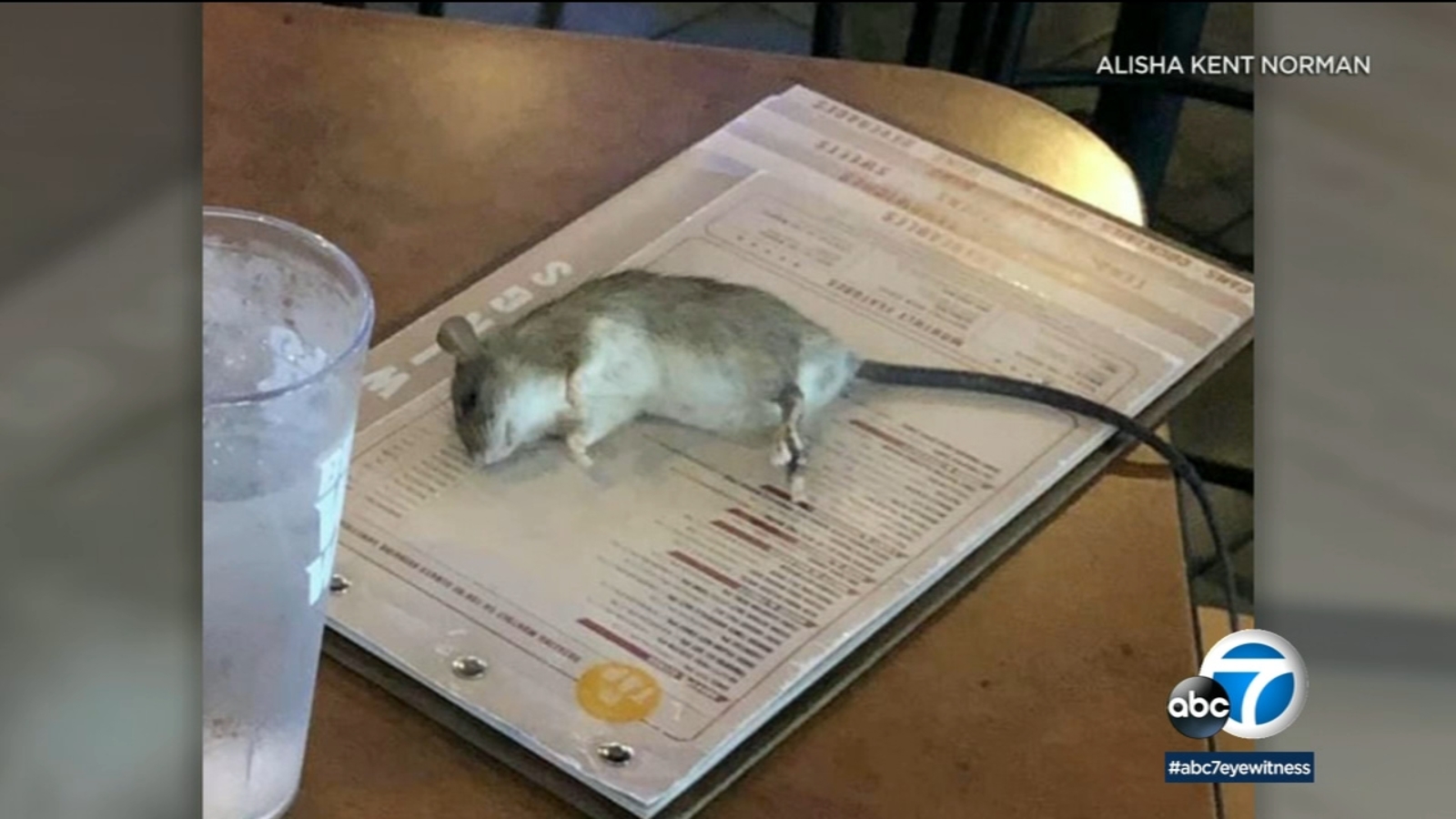 Rat falls from ceiling and onto table at Westchester Buffalo Wild Wings  | abc7.com