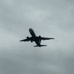 Gary Blasingame Profile Picture