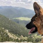 Neil Feit Profile Picture