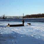 TJFBI Profile Picture