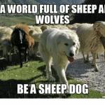 Pat Haifleigh Profile Picture