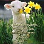 UndeservedFavor Profile Picture