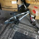 RoothieMay Profile Picture