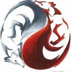 Thomas F. Profile Picture