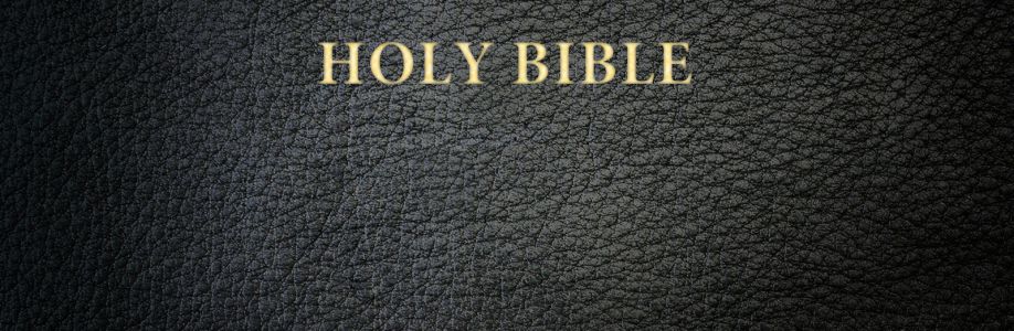 The Messiah's Disciple Cover Image