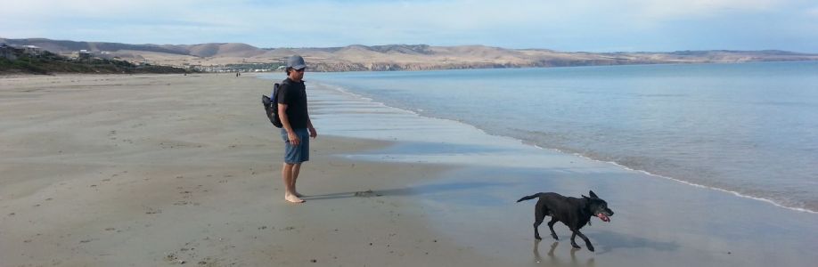 Sharyn Harding Cover Image