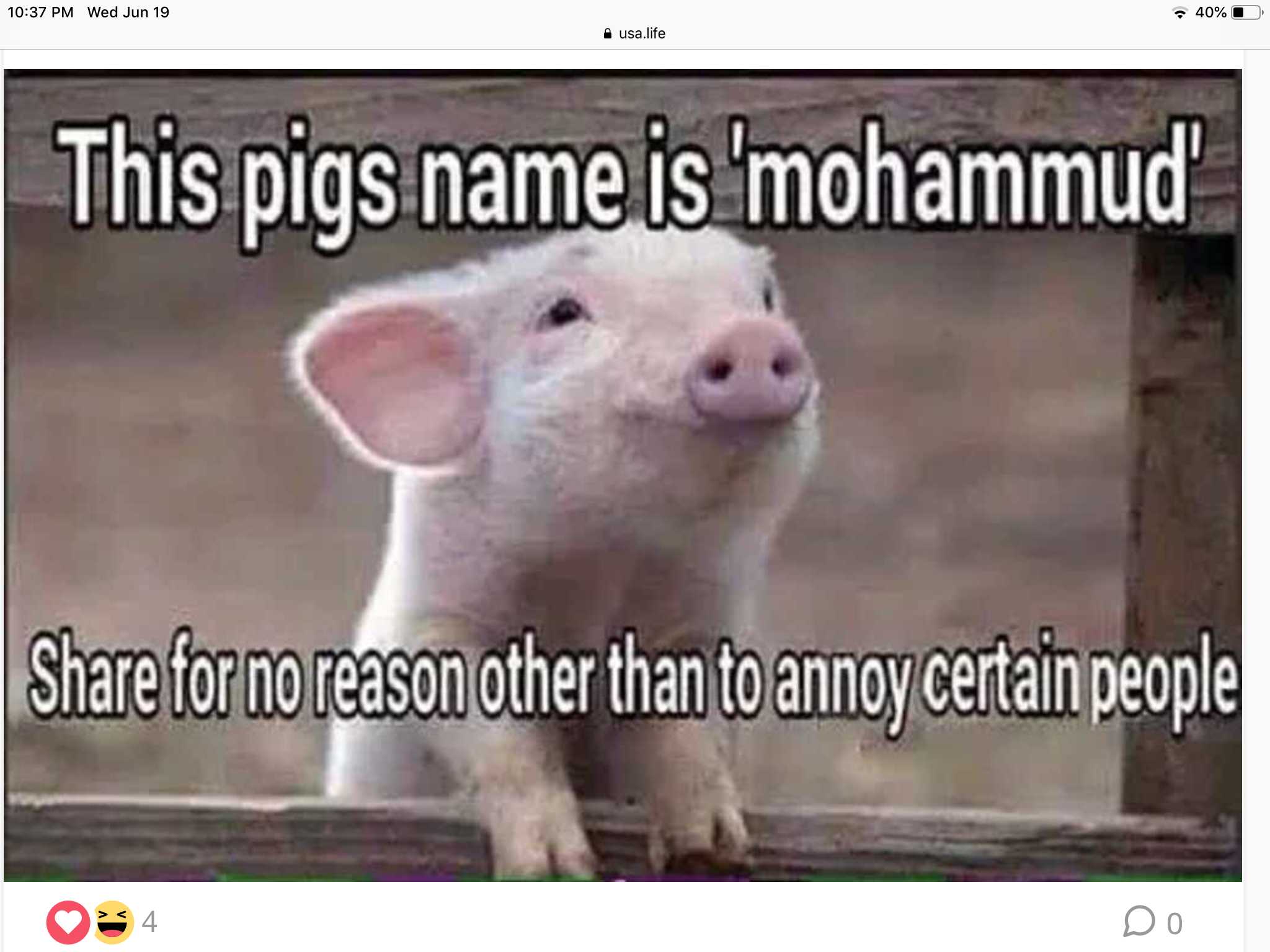 Pig name. The scientific name for pig. a name for a pig. science name for pig. what is the scientific name pig.
