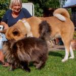 EmmaMaus Profile Picture