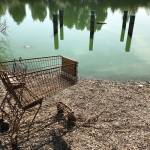 Jörg Rosemeyer Profile Picture