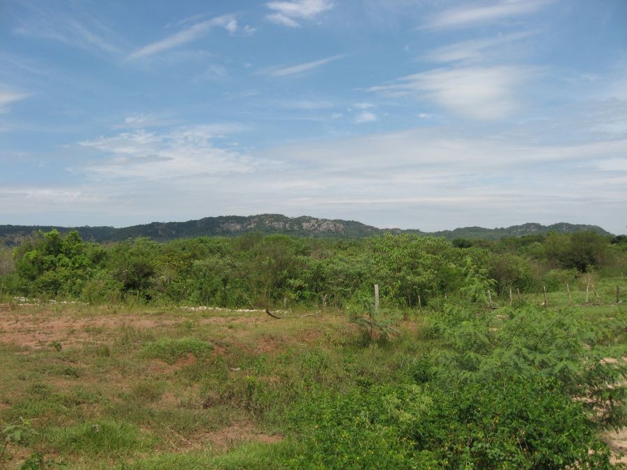 Ideales Grundstück für die Aufforstung à 100 Hektar - Paraguay