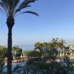 RoseannCapurro Profile Picture