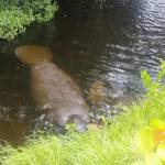 Gethappy Profile Picture