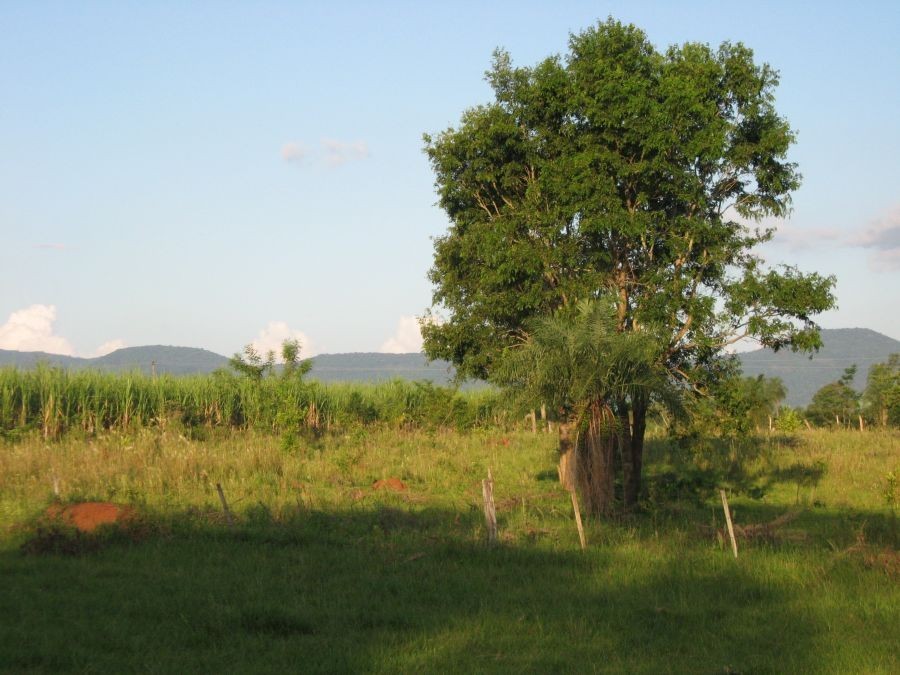 Fruchtbares Grundstück bei Villarrica mit herrlicher Aussicht - in Paraguay