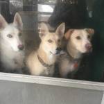 ARTINASMALLTOWN Profile Picture