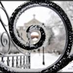 Mark Nicodemo Profile Picture