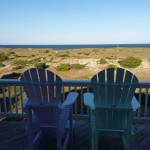 Dorothy Roer Profile Picture