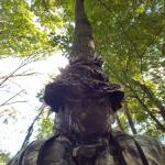 James Crawford Profile Picture