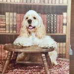 Cathey Martin Profile Picture