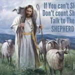 Anna Schrock Profile Picture