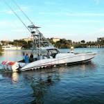 Elaine Jake Profile Picture