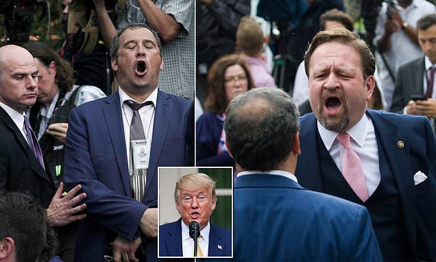 Secret Service move in to stop full-on BRAWL at the White House after Trump's social media summit | Daily Mail Online