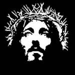 LewisCox Profile Picture