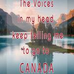 Benjamin Franklin Profile Picture