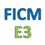 FICM E3 CFMA Southeast Profile Picture