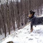 CoastalTexas Profile Picture