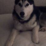 Connie Burgett Profile Picture