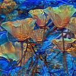 Sue Harney Profile Picture