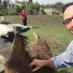 Frank Williams Profile Picture