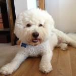 Bruce Hintermeyer Profile Picture