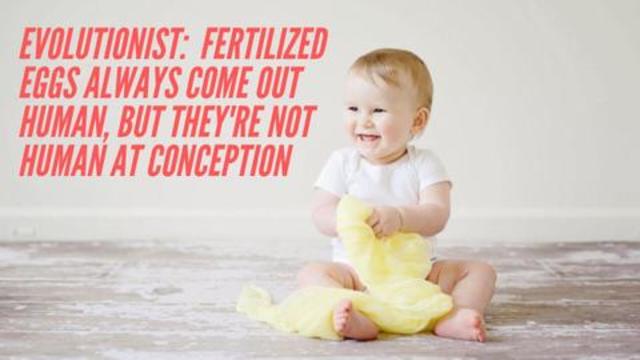 Evolutionist:  Fertilized Eggs Always Come Out Human, But They're Not Human At Conception