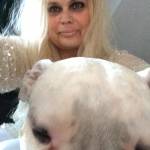 Dogobub profile picture