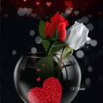 Kolvard Jens Profile Picture