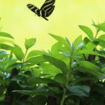 Donna Eaker Profile Picture