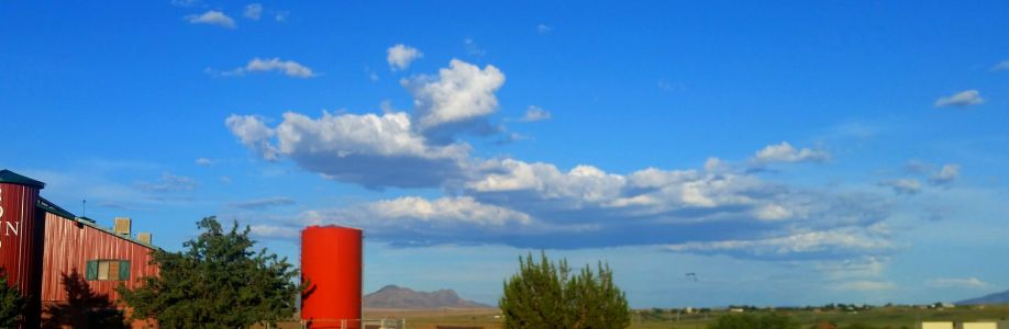 Sherry Jean Cover Image